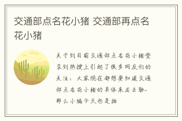 交通部点名花小猪 交通部再点名花小猪