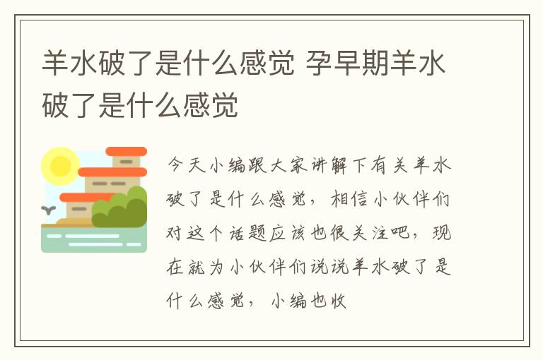 羊水破了是什么感觉 孕早期羊水破了是什么感觉