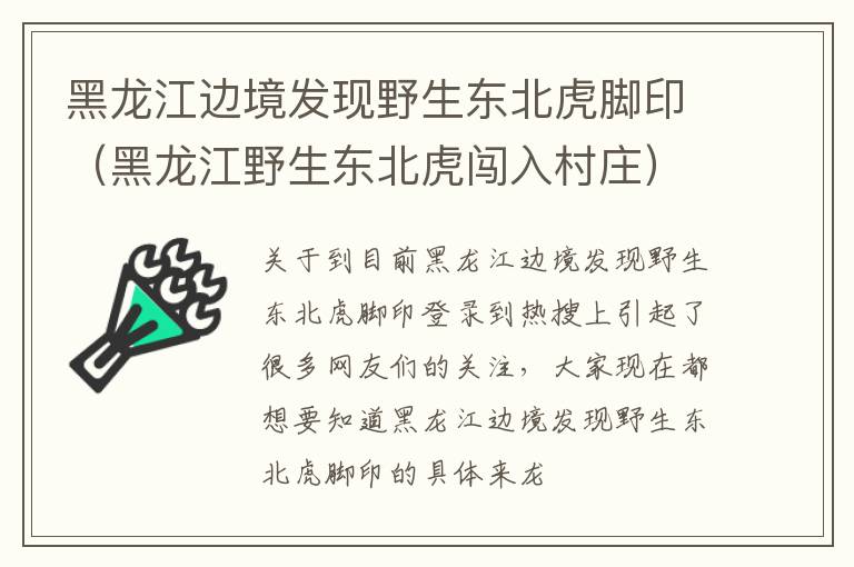 黑龙江边境发现野生东北虎脚印（黑龙江野生东北虎闯入村庄）