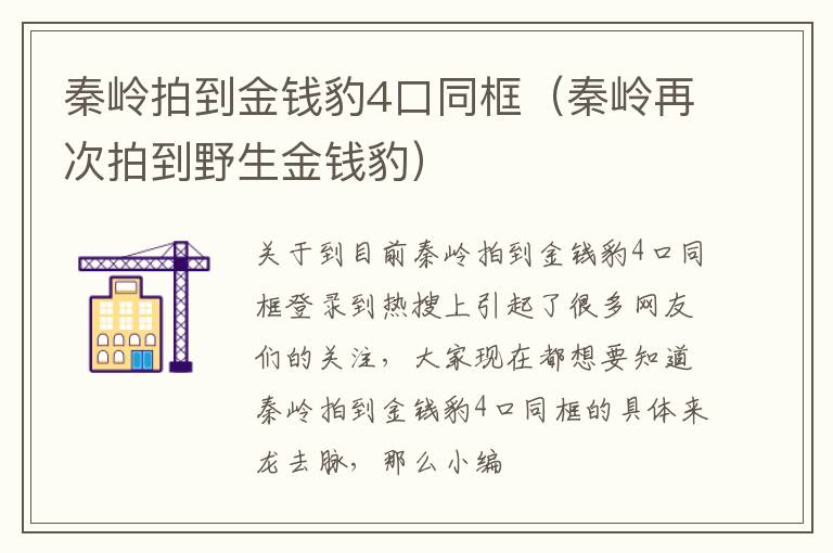 秦岭拍到金钱豹4口同框（秦岭再次拍到野生金钱豹）