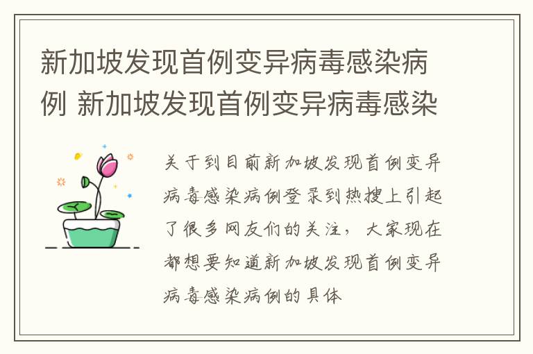 新加坡发现首例变异病毒感染病例 新加坡发现首例变异病毒感染病例多少
