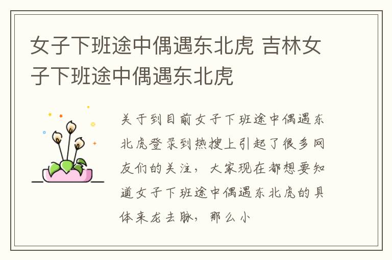 女子下班途中偶遇东北虎 吉林女子下班途中偶遇东北虎