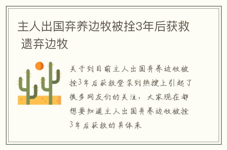 主人出国弃养边牧被拴3年后获救 遗弃边牧