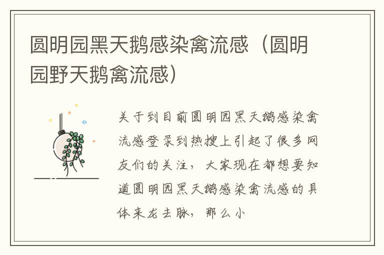 圆明园黑天鹅感染禽流感（圆明园野天鹅禽流感）