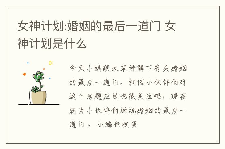 女神计划:婚姻的最后一道门 女神计划是什么