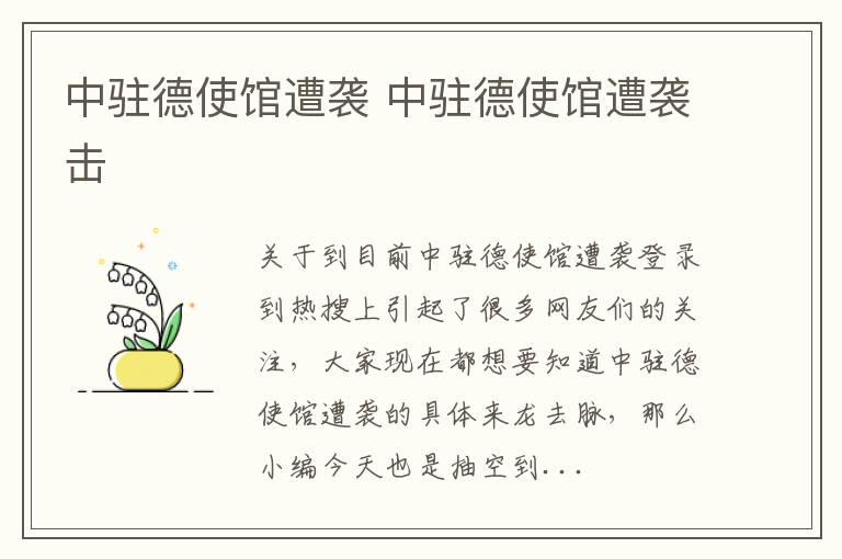 中驻德使馆遭袭 中驻德使馆遭袭击