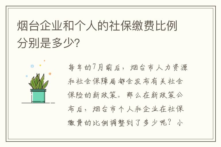 烟台企业和个人的社保缴费比例分别是多少？