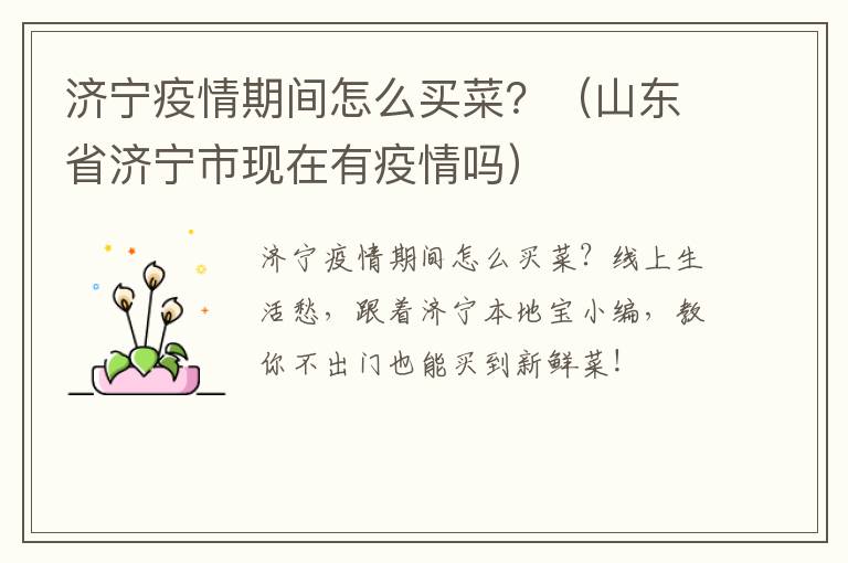 济宁疫情期间怎么买菜？（山东省济宁市现在有疫情吗）