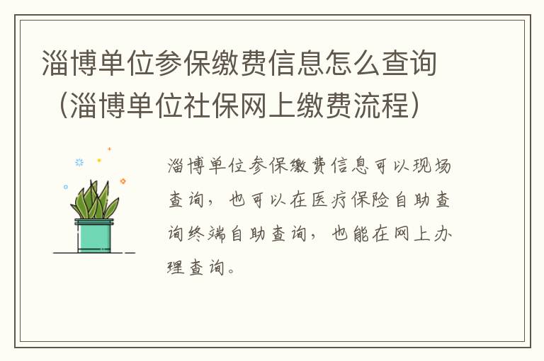 淄博单位参保缴费信息怎么查询（淄博单位社保网上缴费流程）