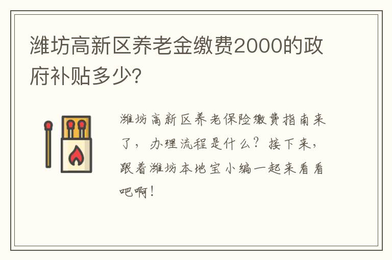 潍坊高新区养老金缴费2000的政府补贴多少？