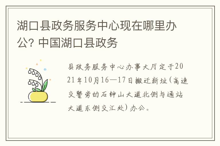 湖口县政务服务中心现在哪里办公? 中国湖口县政务