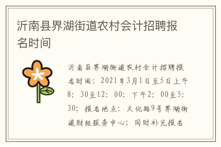沂南县界湖街道农村会计招聘报名时间