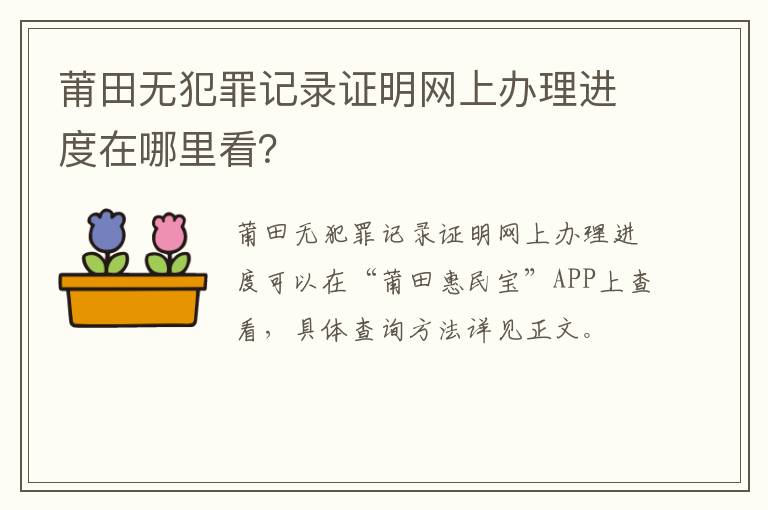 莆田无犯罪记录证明网上办理进度在哪里看？