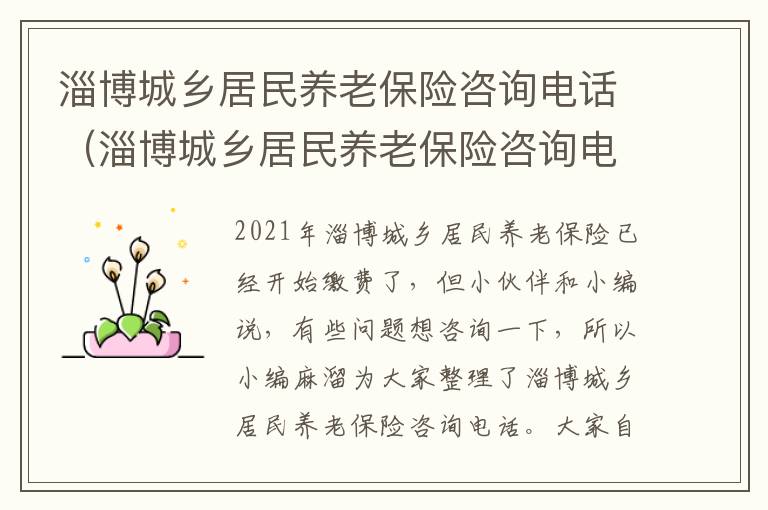 淄博城乡居民养老保险咨询电话（淄博城乡居民养老保险咨询电话号码）