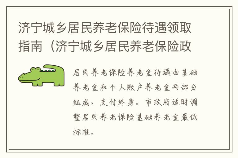 济宁城乡居民养老保险待遇领取指南（济宁城乡居民养老保险政策）