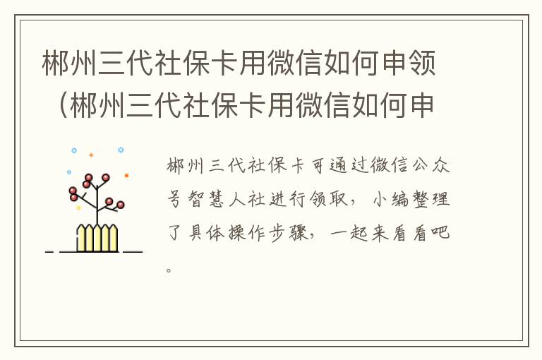 郴州三代社保卡用微信如何申领（郴州三代社保卡用微信如何申领流程）