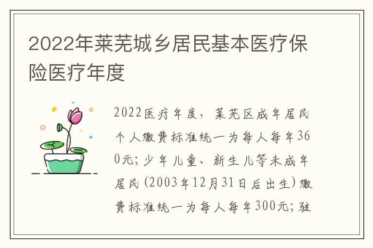2022年莱芜城乡居民基本医疗保险医疗年度