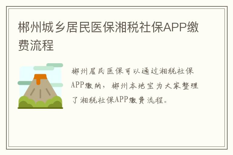 郴州城乡居民医保湘税社保APP缴费流程