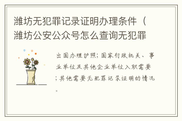潍坊无犯罪记录证明办理条件（潍坊公安公众号怎么查询无犯罪记录证明）