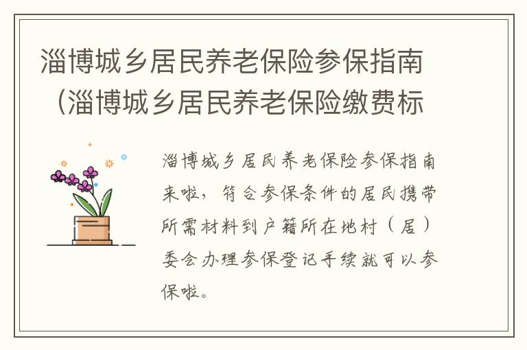 淄博城乡居民养老保险参保指南（淄博城乡居民养老保险缴费标准）
