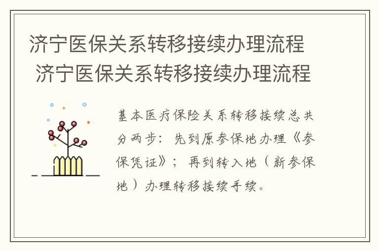 济宁医保关系转移接续办理流程 济宁医保关系转移接续办理流程视频