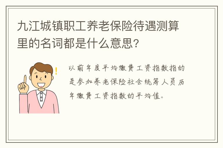 九江城镇职工养老保险待遇测算里的名词都是什么意思?