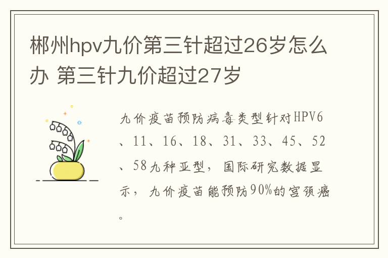 郴州hpv九价第三针超过26岁怎么办 第三针九价超过27岁