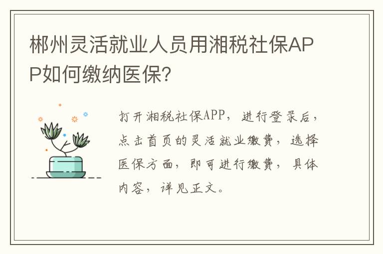 郴州灵活就业人员用湘税社保APP如何缴纳医保？