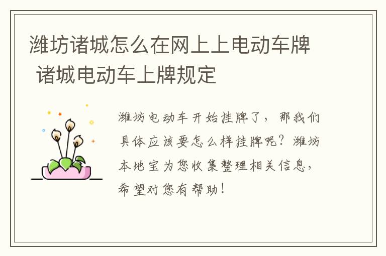 潍坊诸城怎么在网上上电动车牌 诸城电动车上牌规定