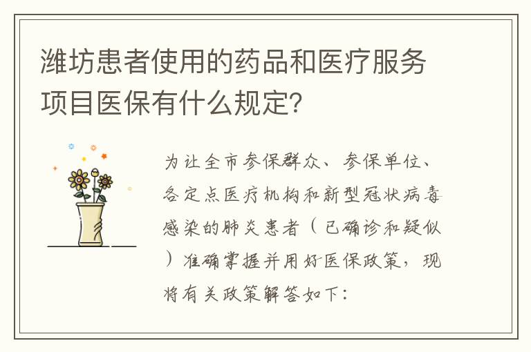潍坊患者使用的药品和医疗服务项目医保有什么规定？