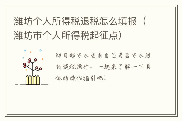 潍坊个人所得税退税怎么填报（潍坊市个人所得税起征点）