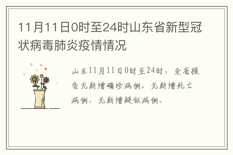 11月11日0时至24时山东省新型冠状病毒肺炎疫情情况