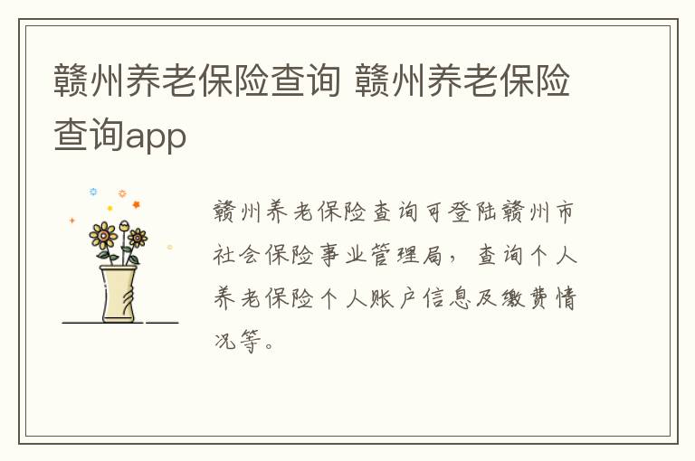赣州养老保险查询 赣州养老保险查询app