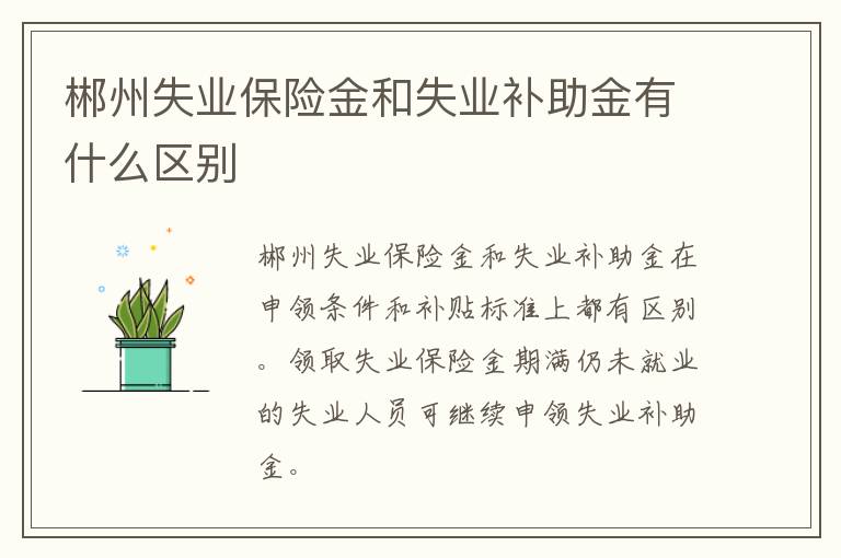 郴州失业保险金和失业补助金有什么区别