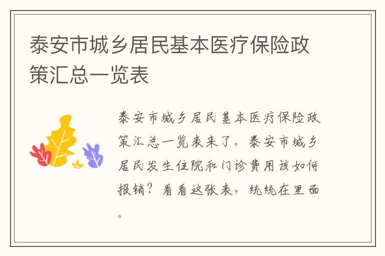 泰安市城乡居民基本医疗保险政策汇总一览表