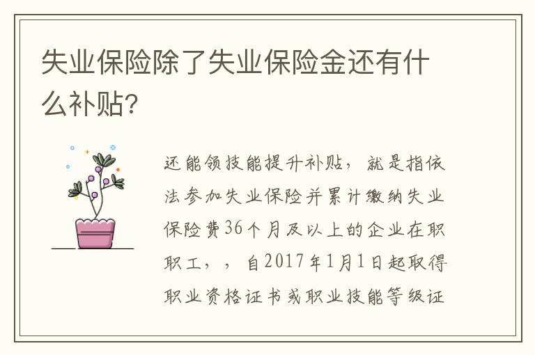 失业保险除了失业保险金还有什么补贴?