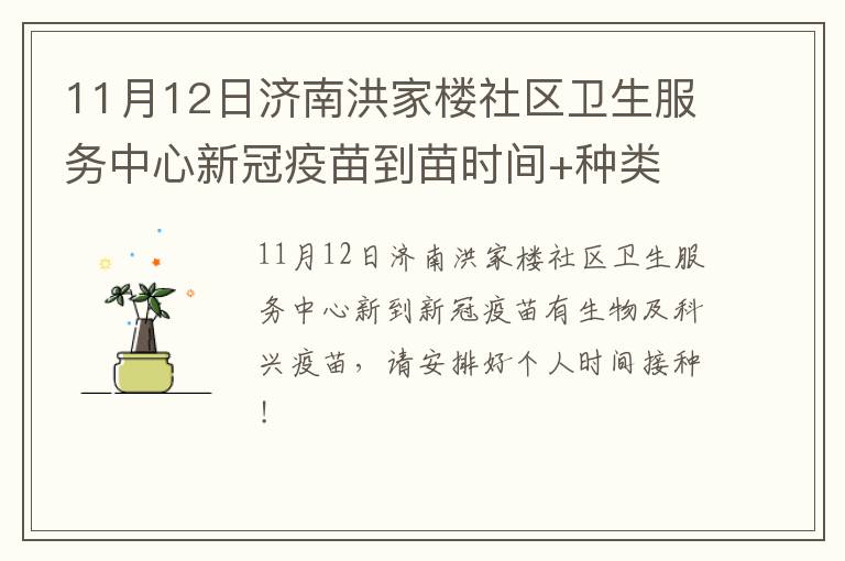 11月12日济南洪家楼社区卫生服务中心新冠疫苗到苗时间+种类
