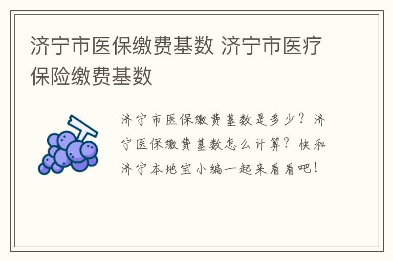 济宁市医保缴费基数 济宁市医疗保险缴费基数