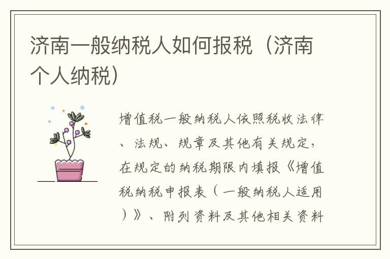 济南一般纳税人如何报税（济南个人纳税）