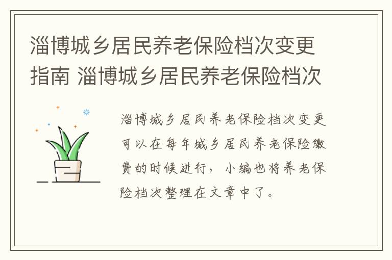 淄博城乡居民养老保险档次变更指南 淄博城乡居民养老保险档次变更指南查询
