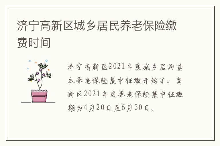 济宁高新区城乡居民养老保险缴费时间