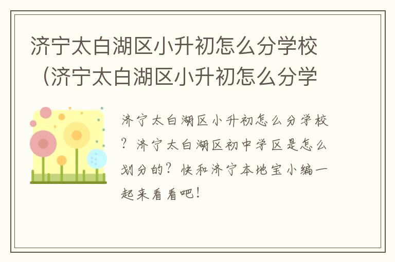 济宁太白湖区小升初怎么分学校（济宁太白湖区小升初怎么分学校的）