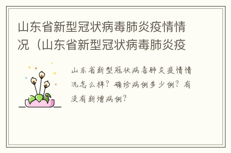 山东省新型冠状病毒肺炎疫情情况（山东省新型冠状病毒肺炎疫情情况最新消息）