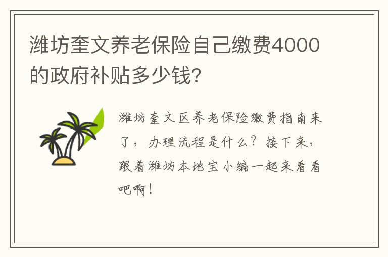 潍坊奎文养老保险自己缴费4000的政府补贴多少钱?