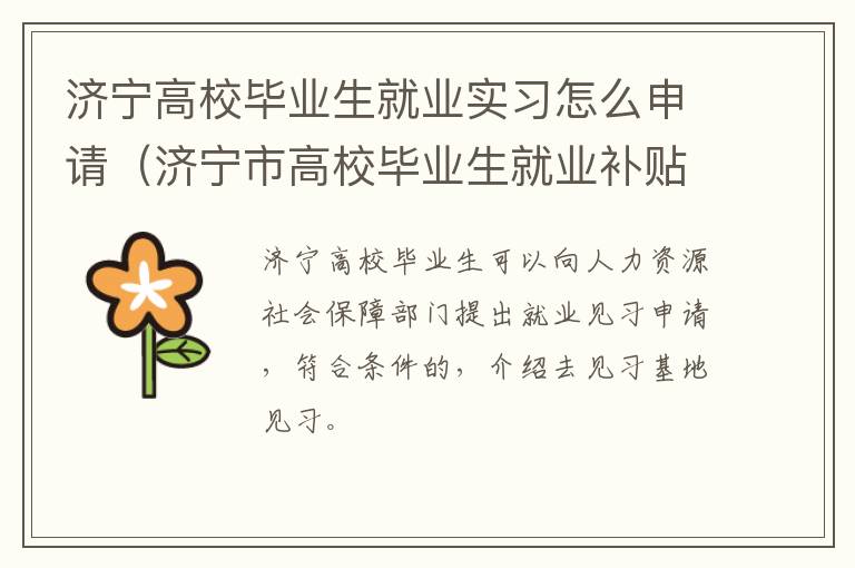 济宁高校毕业生就业实习怎么申请（济宁市高校毕业生就业补贴）