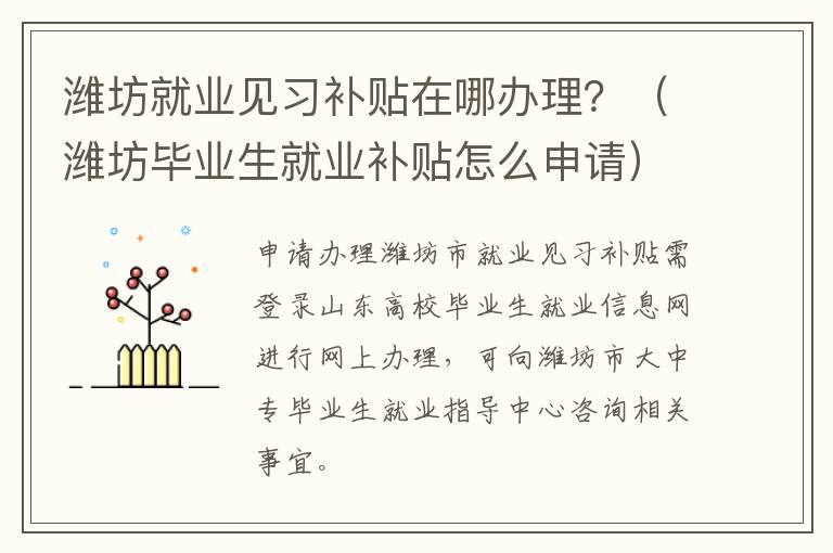潍坊就业见习补贴在哪办理？（潍坊毕业生就业补贴怎么申请）