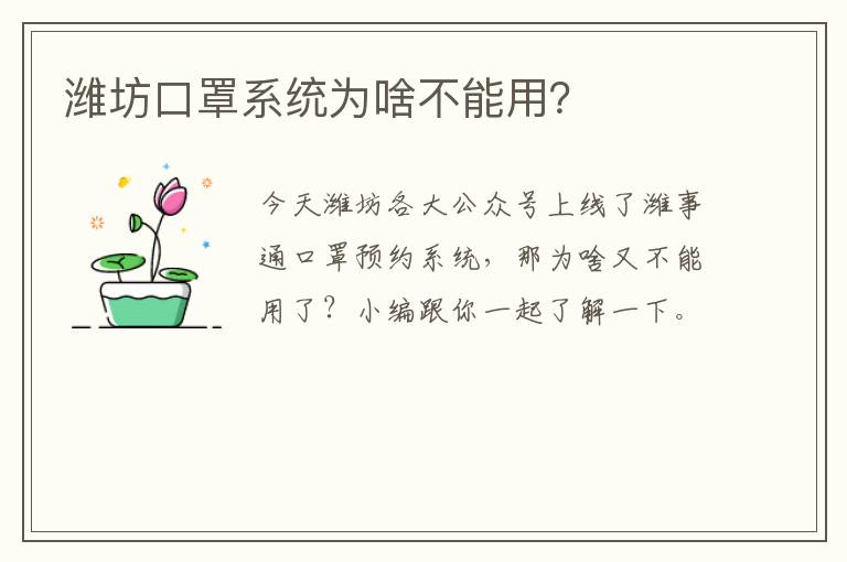 潍坊口罩系统为啥不能用？