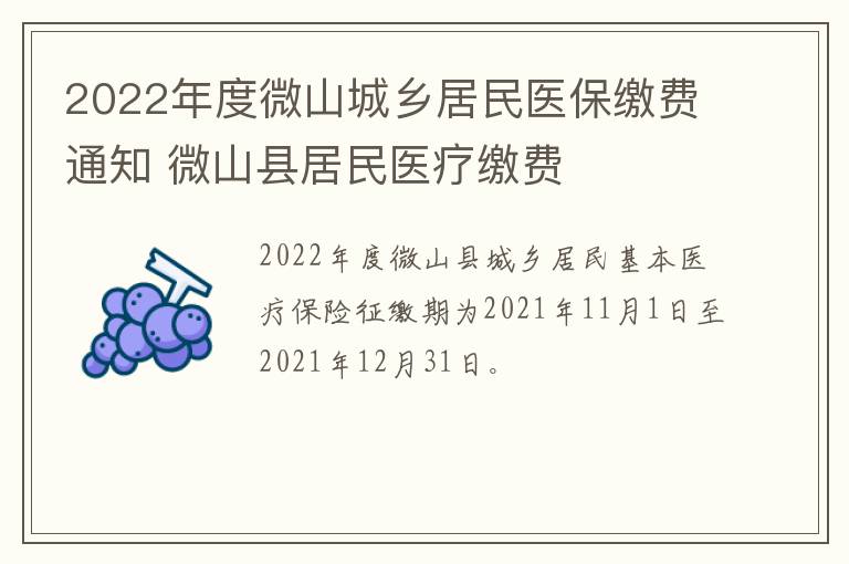 2022年度微山城乡居民医保缴费通知 微山县居民医疗缴费