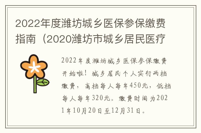 2022年度潍坊城乡医保参保缴费指南（2020潍坊市城乡居民医疗保险缴费）