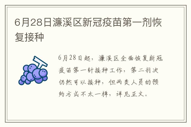 6月28日濂溪区新冠疫苗第一剂恢复接种